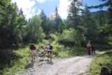 Clicca qui per vedere l'immagine in dettaglio